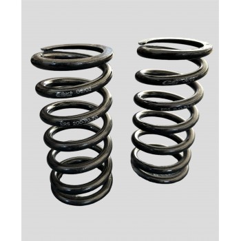 Coppia molle Eibach  200-70-0070