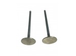 2 valvole scarico nimonic 36 x 115,5 x 7 mm