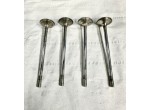 4 Valvole scarico 30,5 x 121,5  x 6 mm