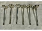 6 valvole aspirazione 36  x 115 x 7 mm racing
