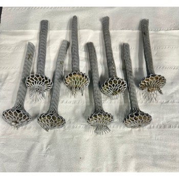 8 Valvole aspirazione in titanio BMW M12/7