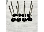 8 Valvole aspirazione in titanio BMW M12/7