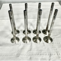 8 Valvole scarico nimonic BMW M12/7