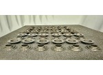 Set 24 + 24 piattelli molle valvole BMW S50 B30